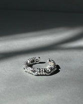 Celestial Ring | SILVER