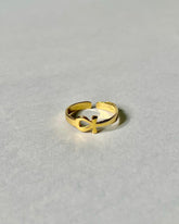 Simple Ankh Royal Ring | Gold Vermeil